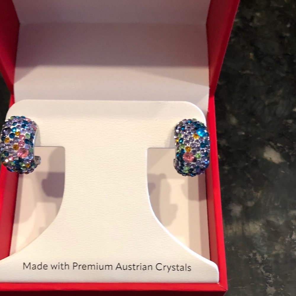 Austrian Crystal Multicolor Hoop Earrings